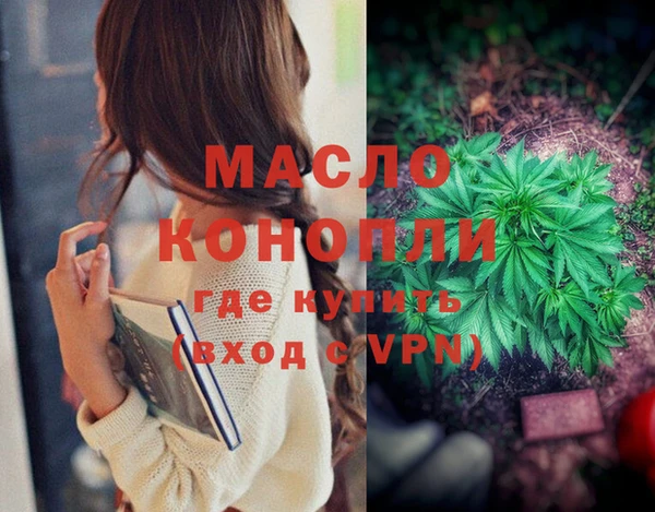 дмт Богданович