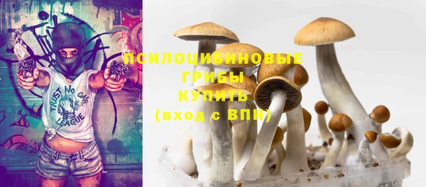 прущие крисы Нягань