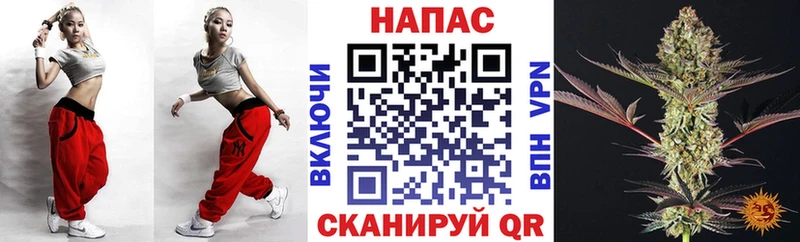 Марихуана гибрид  Покров 